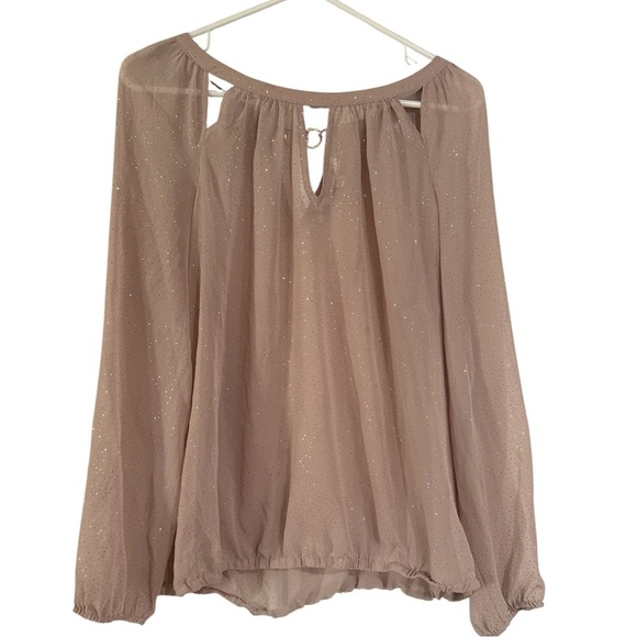 Jennifer Lopez Tops - Jennifer Lopez JLOSparkling Blush Champagne Sheer Blouse Size XL
